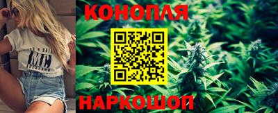 apvp Новозыбков