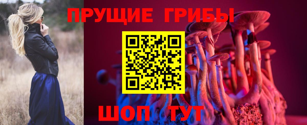 Псилоцибиновые грибы мицелий Сосновый Бор